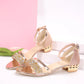 Fashion Women's Sandals Gold and Silver Low Heel Casual