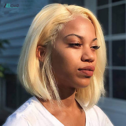Pre-Plucked  Lace Front Wig Straight - Human Hair - Mileina Shop