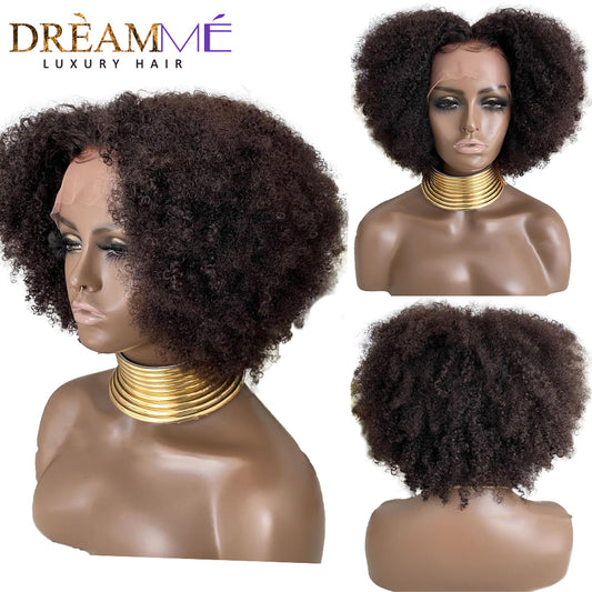 Mongolian Afro Kinky Curly Human Hair wig -Transparent Lace Frontal Wig -13x4 Lace Front Wigs Remy Brazilian Pre-Plucked 250% - Mileina Shop